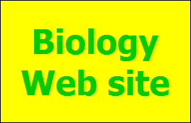 Biology
Web site